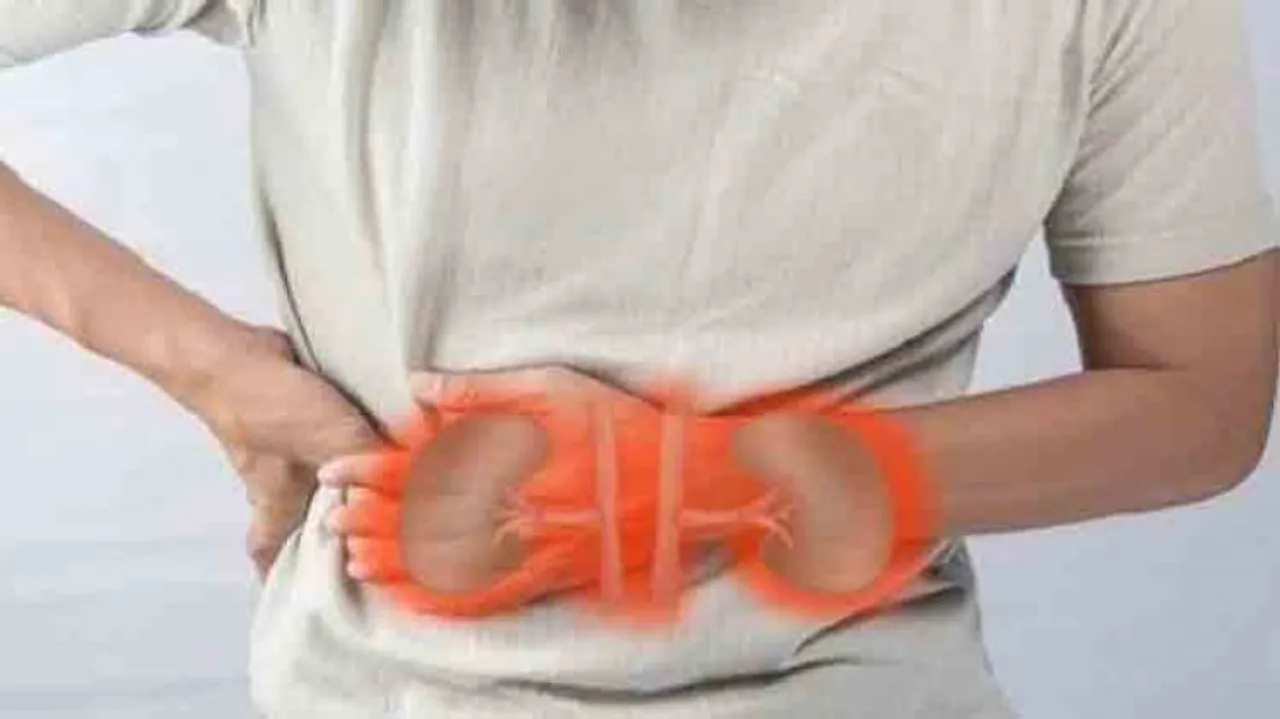 35 genes linked to chronic kidney disease risk identified