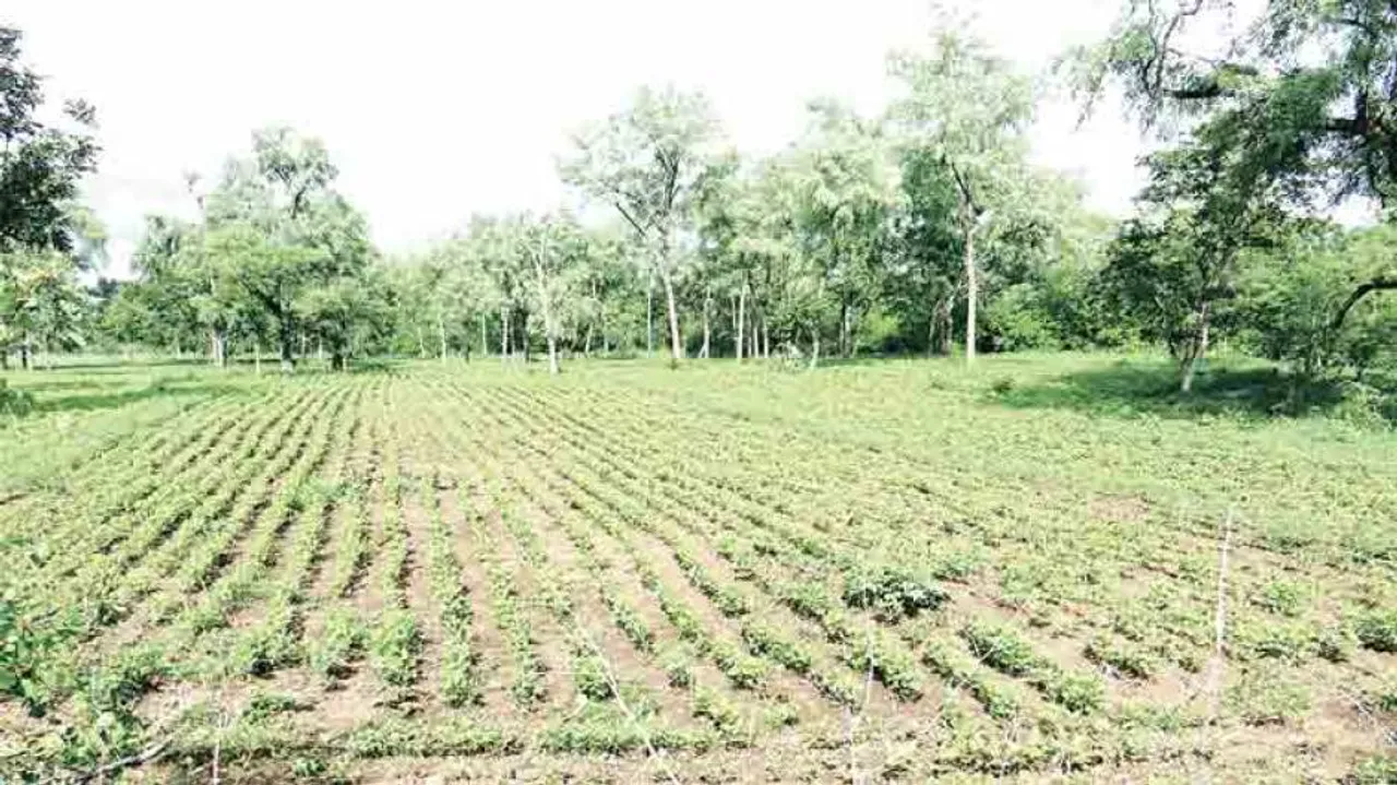 Discourse on Women’s Land Rights Needs Change of Lens