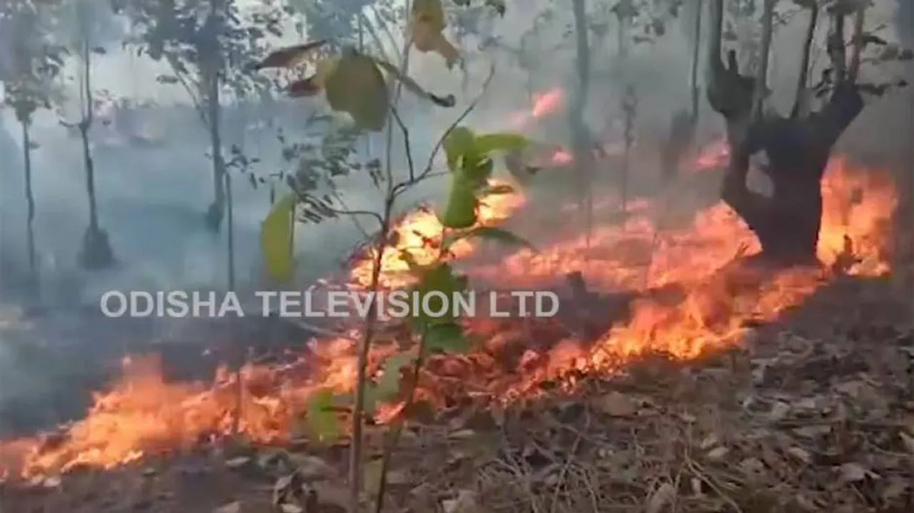 Odisha Forms High-Level Taskforce To Battle Forest Fire