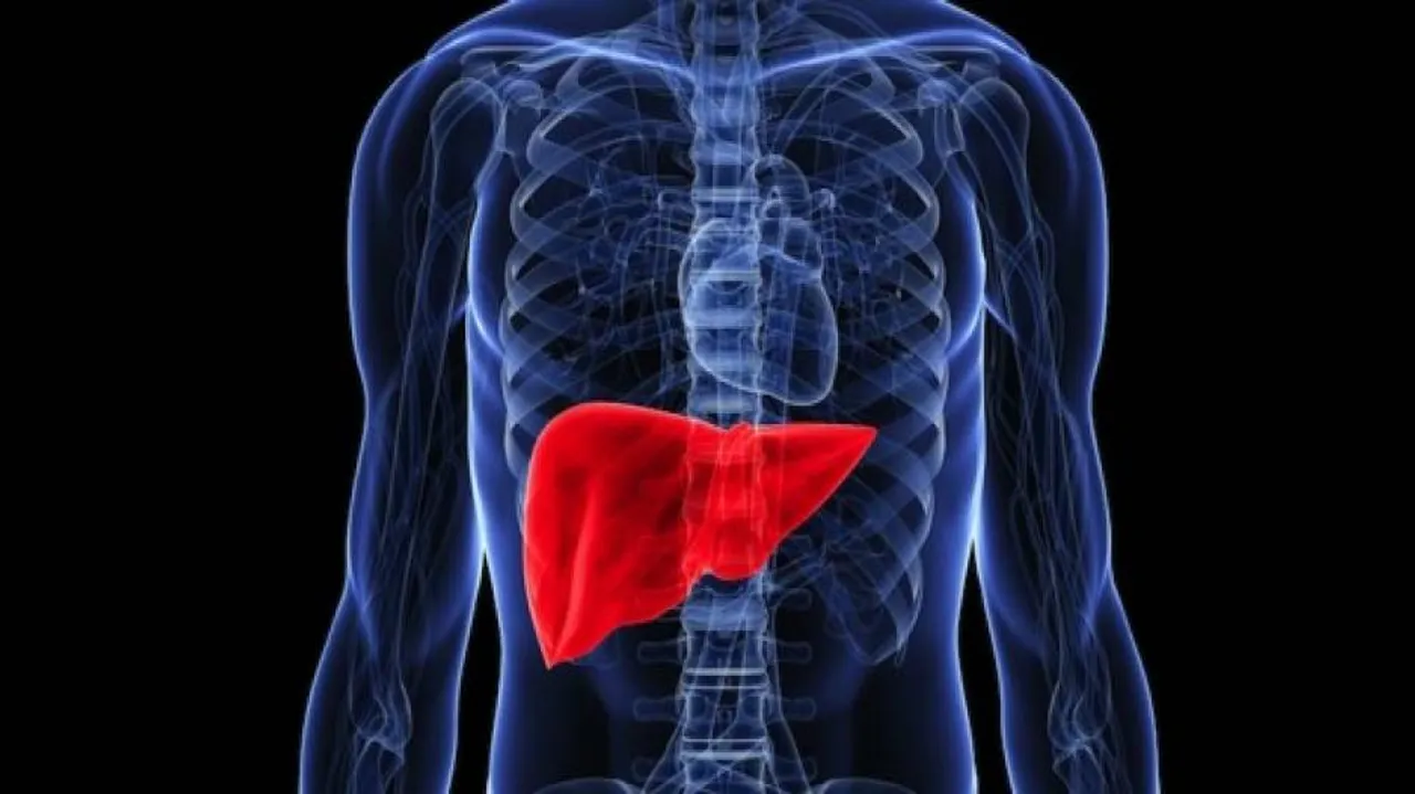 Liver Cancer Deaths 50% Up In Last 10 Years