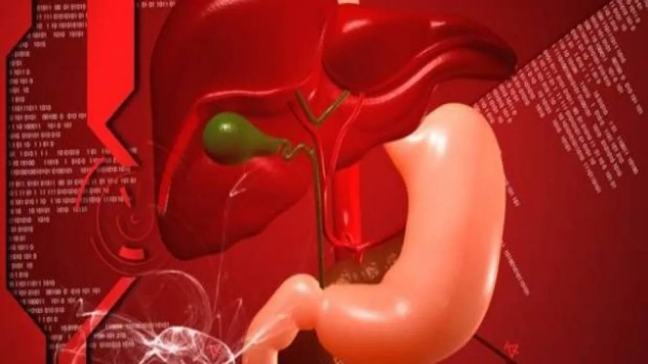 Novel liver hormone cuts cravings for sweets, alcohol