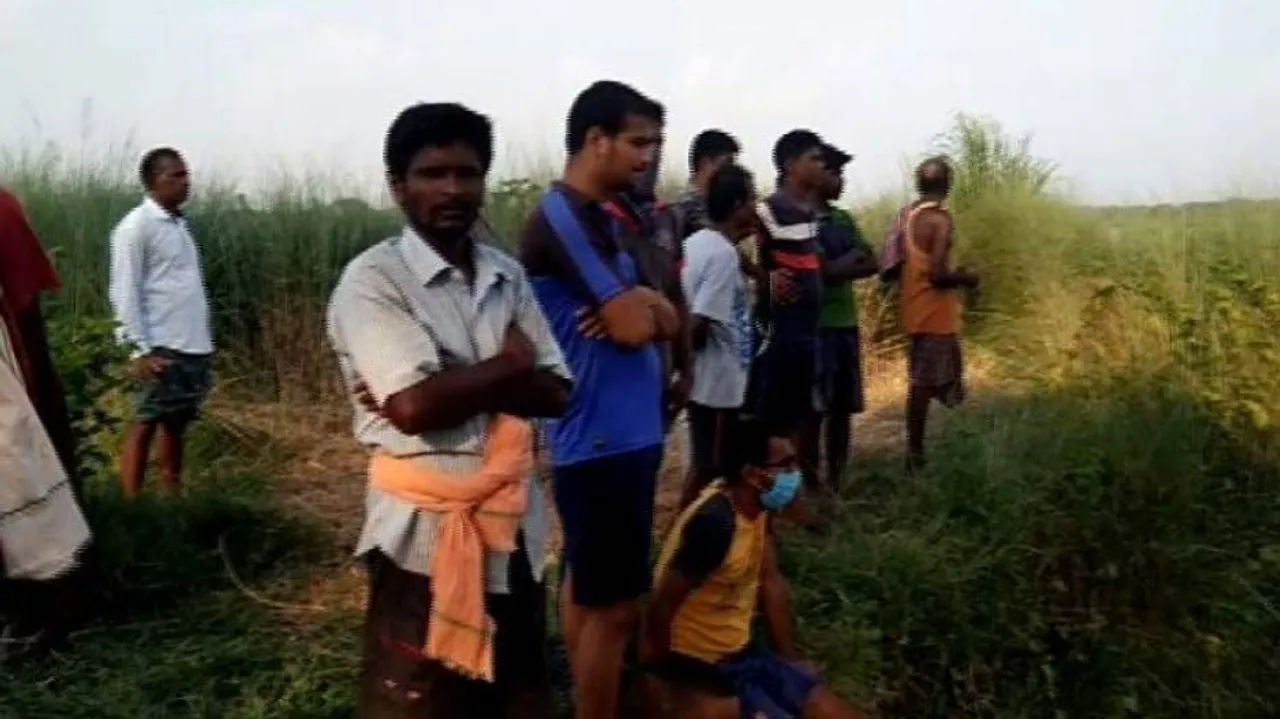 16-Year-Old Boy Killed In Crocodile Attack In Kendrapara