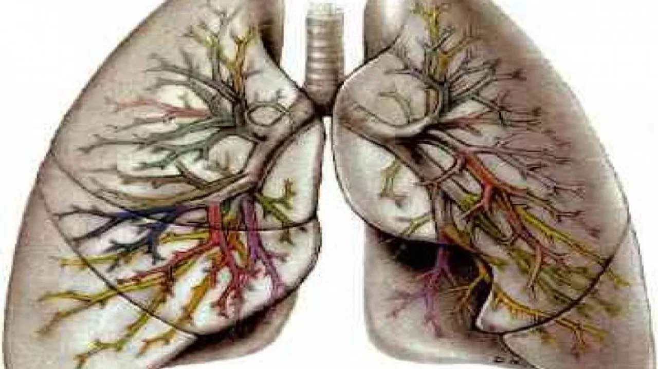 Doctors can now 'see' lung sounds, detect disorders