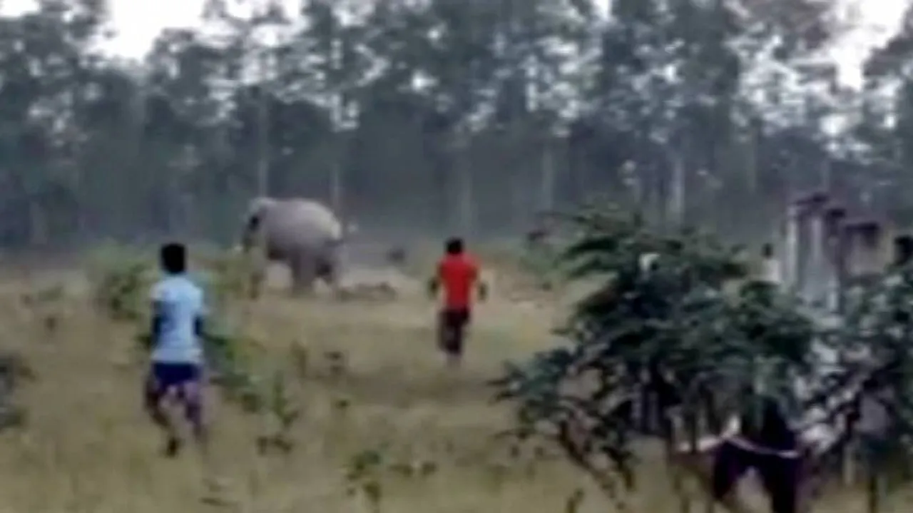 Man-Elephant Conflict Continues Unabated In Odisha; Man Killed, Girl Critical In Attack