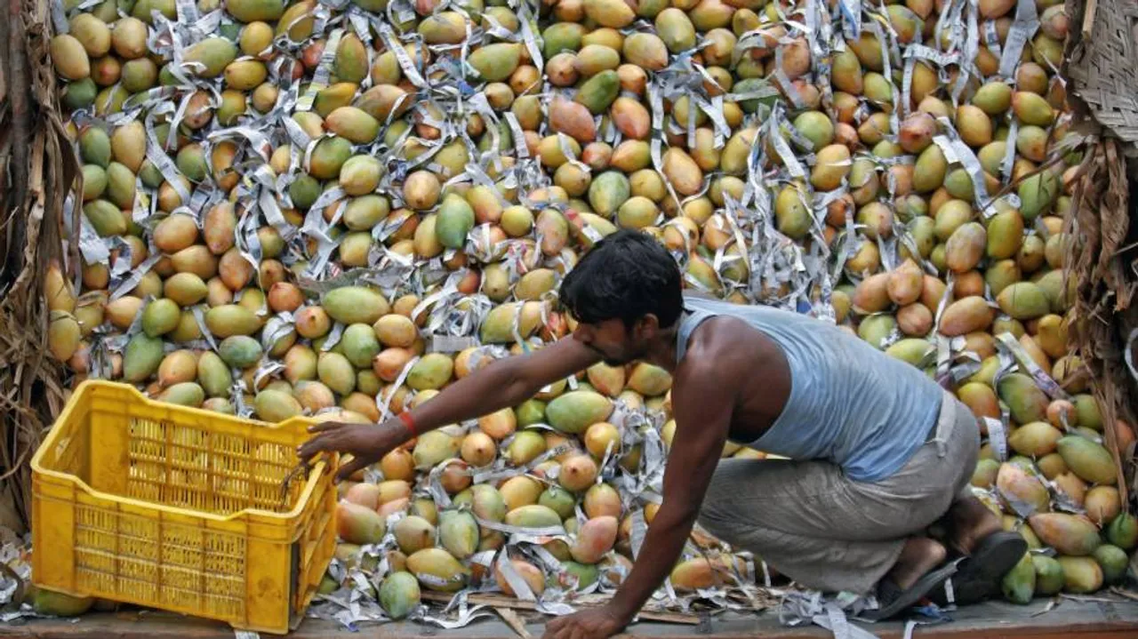 Bengal to export mangoes to Dubai