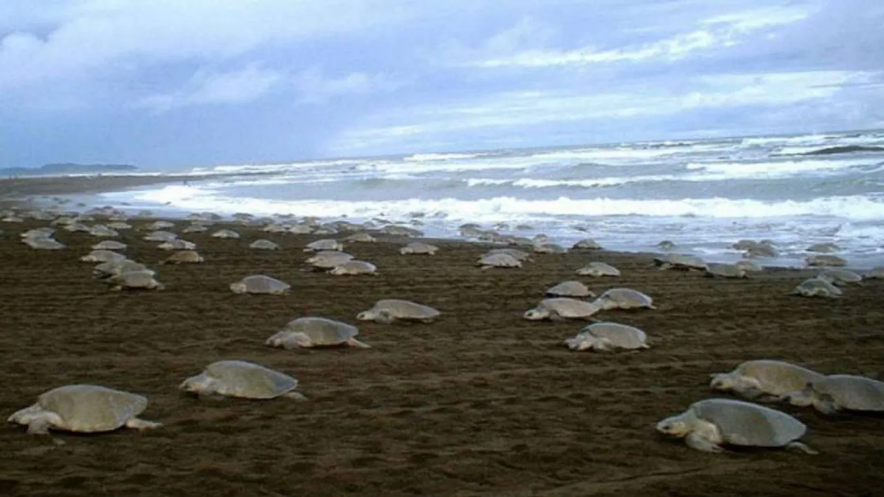 10 fishermen held for sneaking into Marine Sanctuary