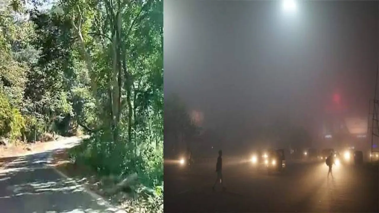 No cold wave in Odisha! 'Merry' weather this Christmas; foggy & misty on New Year Day!