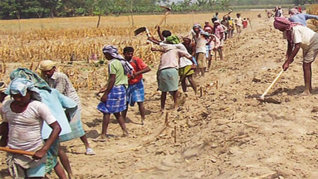High Rural Unemployment In Odisha: Job Demand Under MGNREGS Up 72%