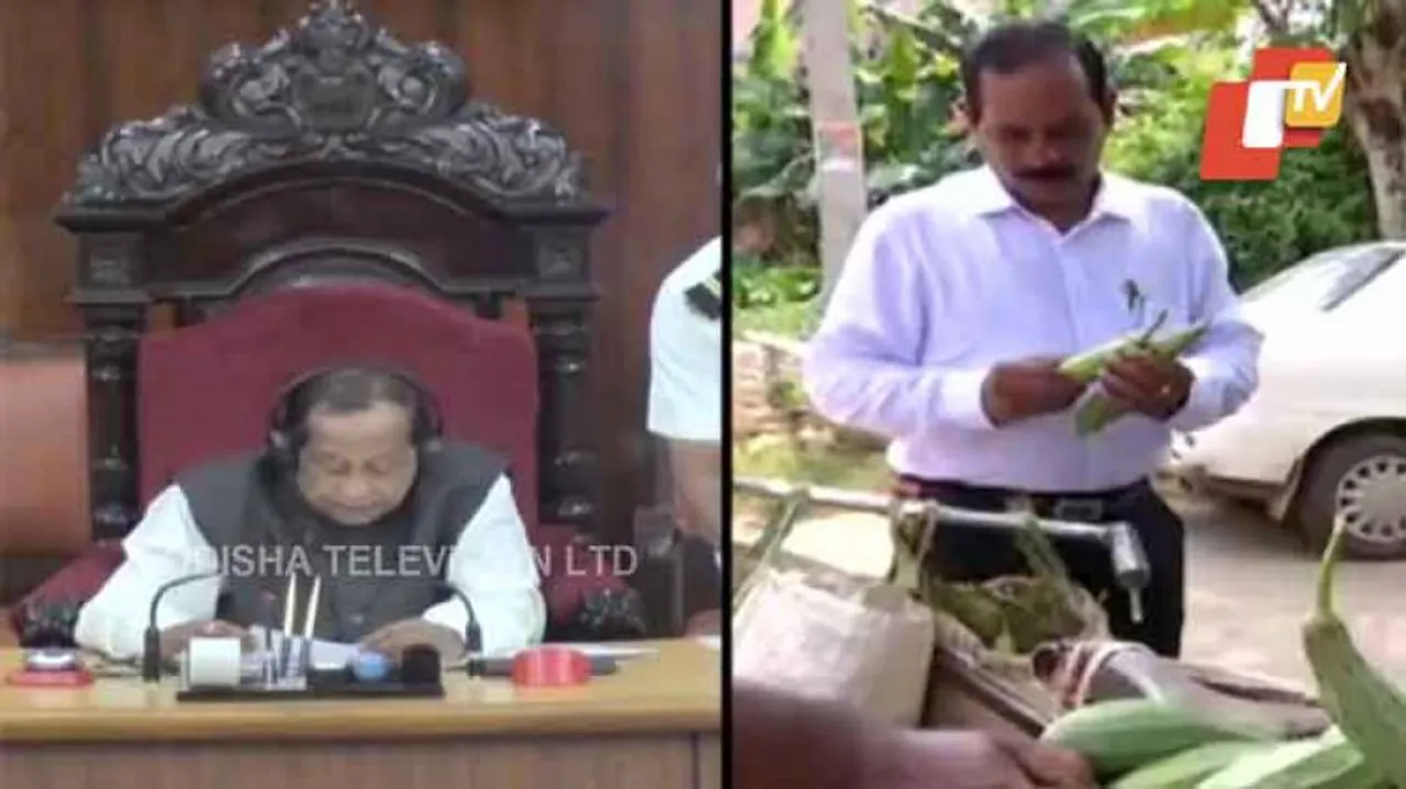 Busy for Patkura polls? Several BJD MLAs skip Odisha Assembly discussion