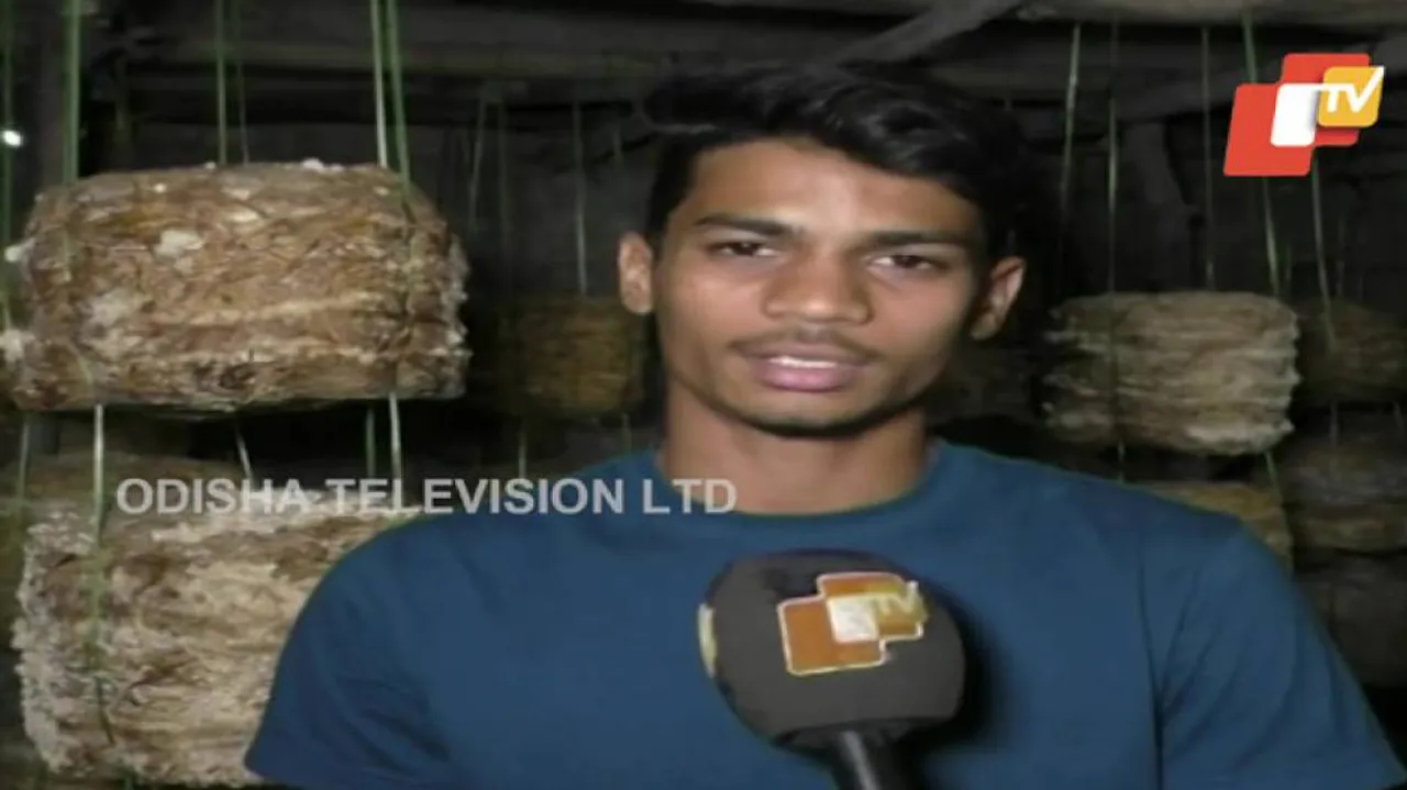 Earning While Learning: Odisha Student's Tryst With Entrepreneurship In Mushroom Farming