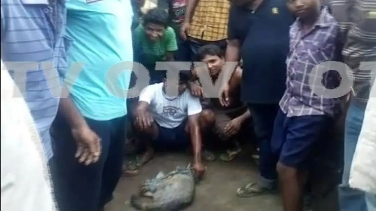 Niali villagers claim to have caught suspected 'mysterious' animal