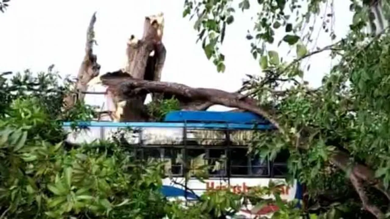 1 killed as Nor’wester rains wreak havoc in several parts of Odisha