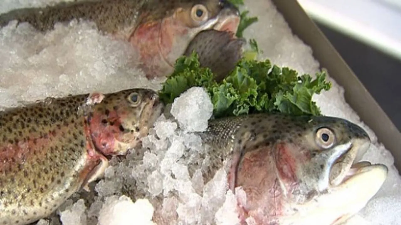 Eating oily fish may help children sleep better