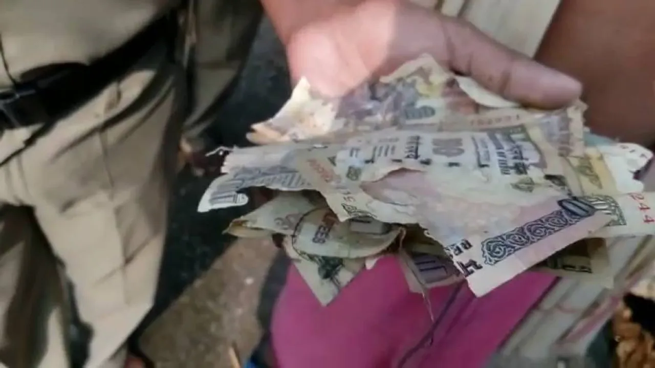 Old currency notes found floating in Mahanadi