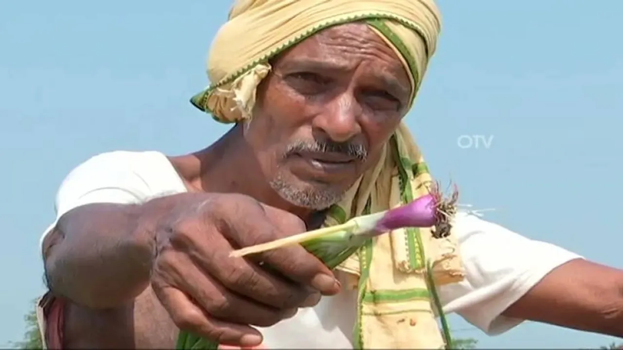 Why Are Ganjam Farmers Turning Away From Onion Farming?