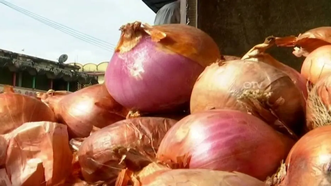 India Bans Exports Of Onion Seeds With Immediate Effect