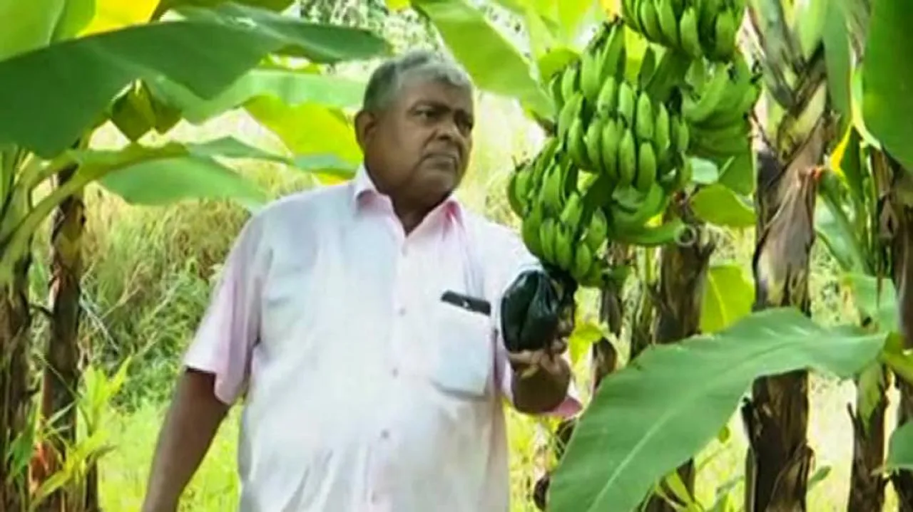Organic Farming Is The Way Forward, 77-YO Odisha Man Shows How