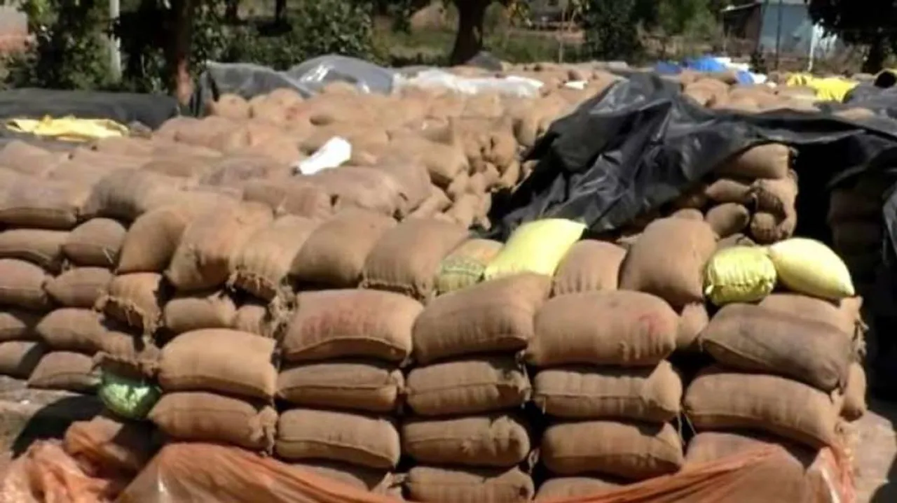Guarding Unprocured Paddy, Odisha Farmers Spend Nights In Open