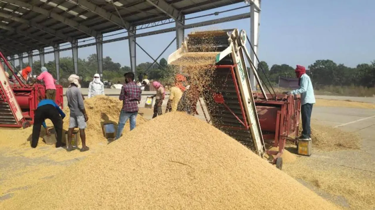 Centre's Paddy MSP Hike Gets Mixed Response In Odisha, BJP Hits Back