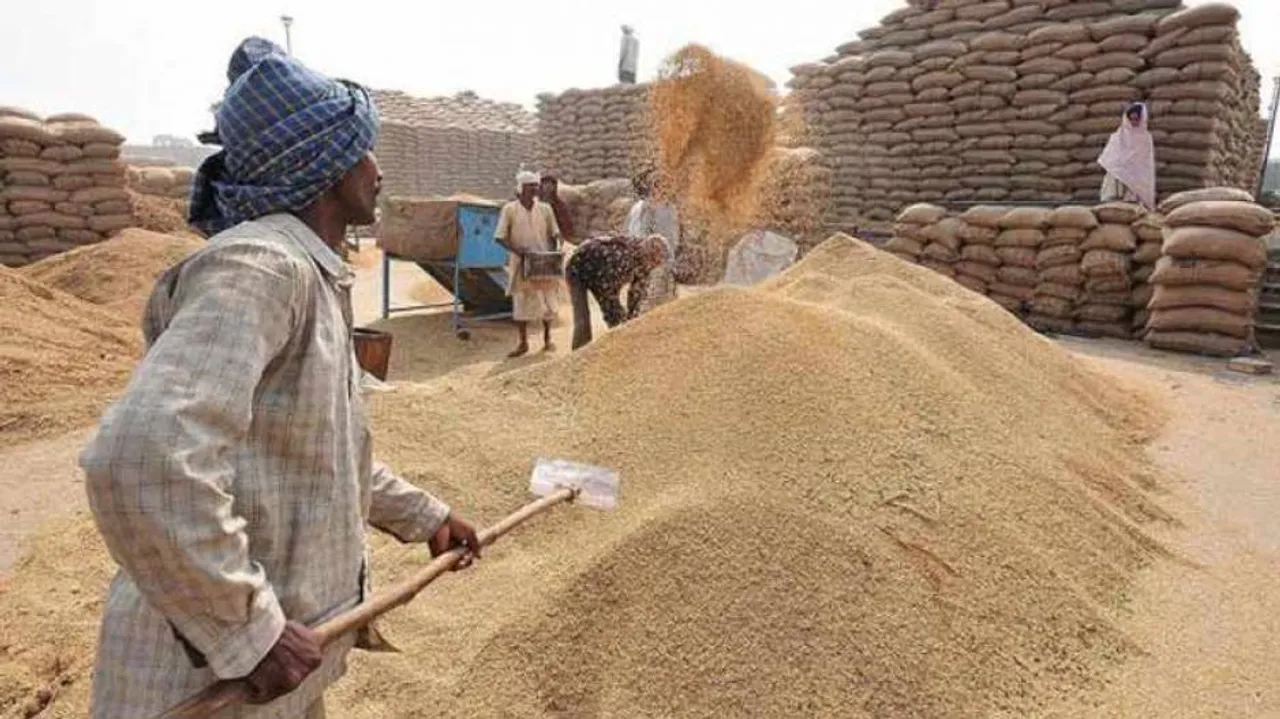 Odisha Urges Centre For Releasing Paddy Procurement Subsidy