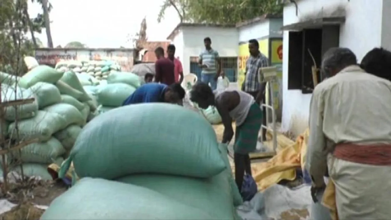 Bhadrak farmers stage protest with unsold paddy