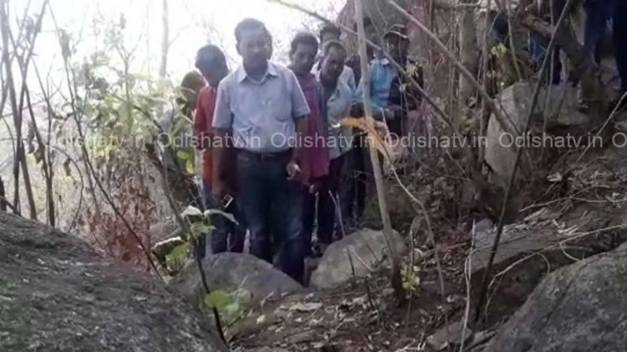 4-yr-old mauled to death by Leopard in Nuapada