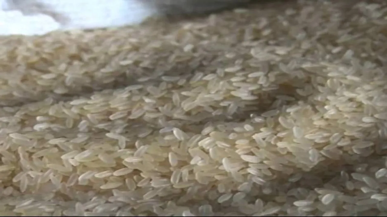 Locals in Nuapada demand probe into plastic rice sale
