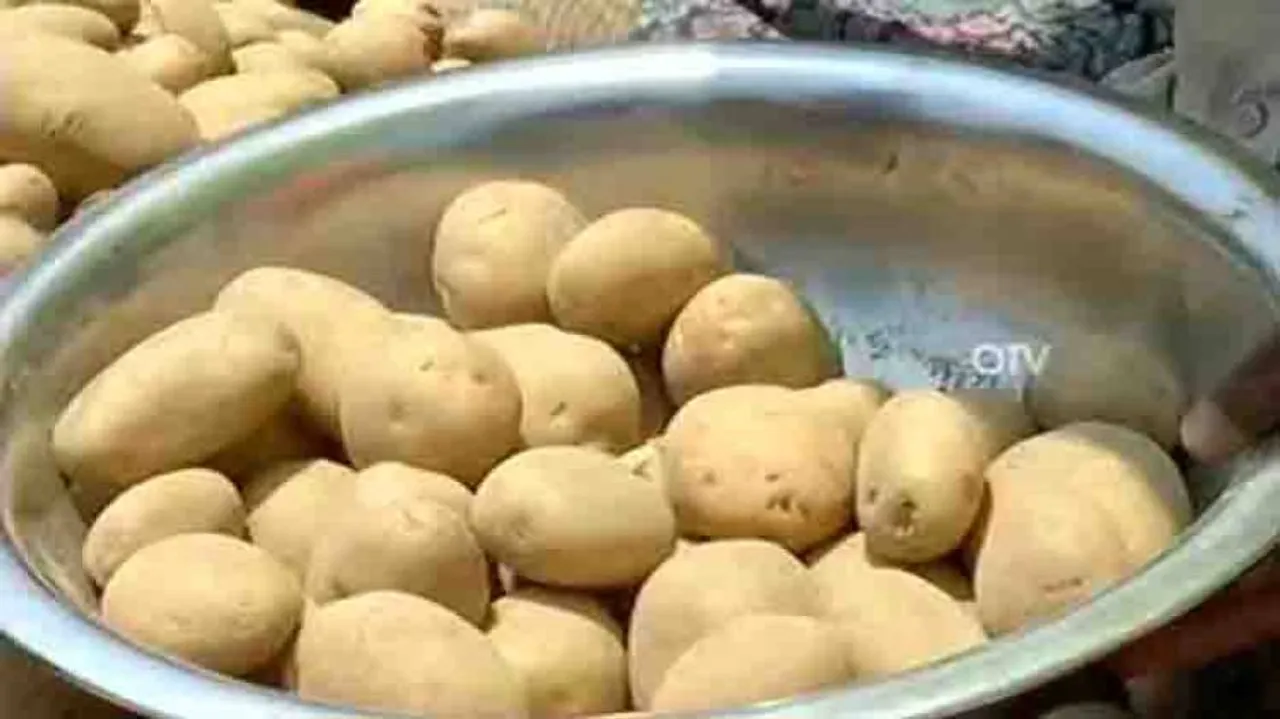 Potato prices skyrocket in Odisha