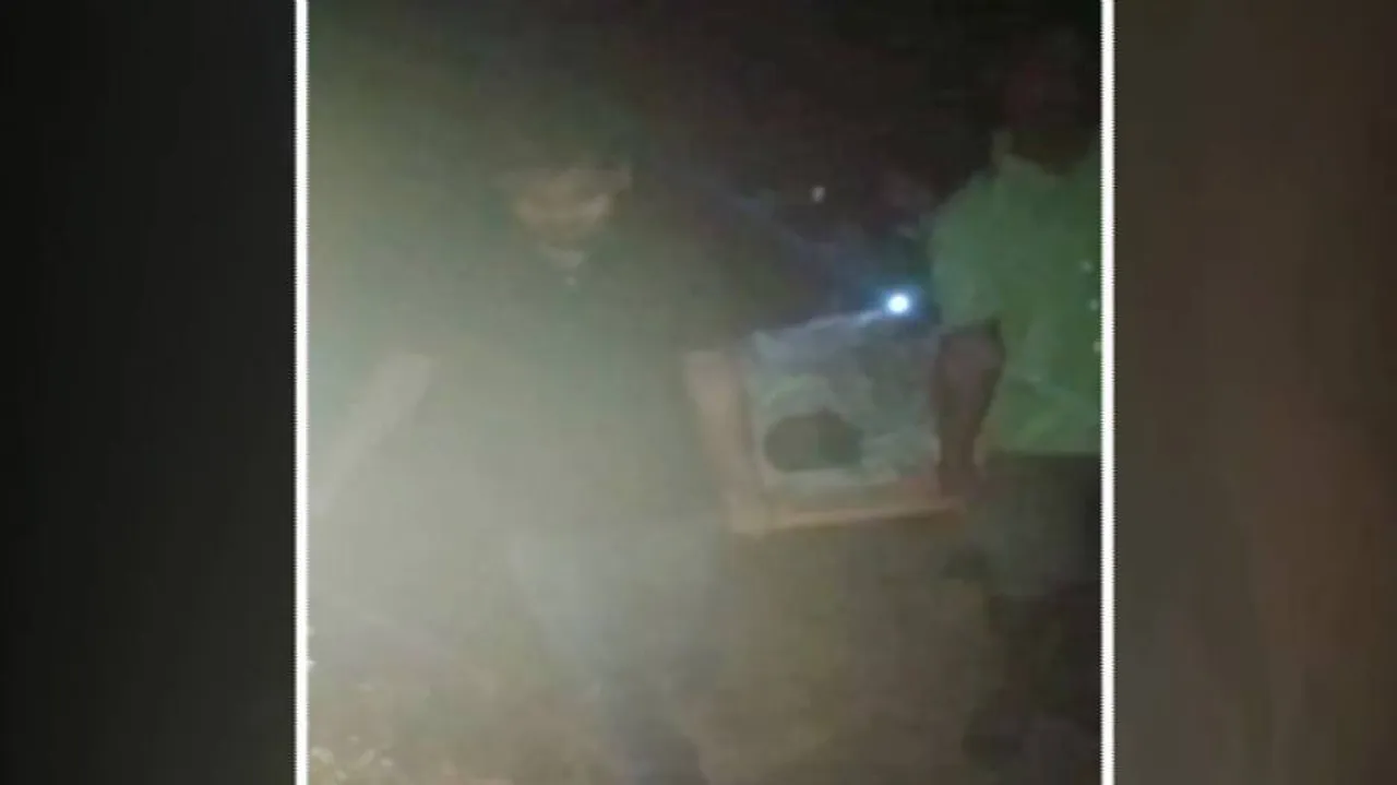 Sans Motorable Road, Pregnant Woman Carried On Stretcher For 4 Kms In Malkangiri