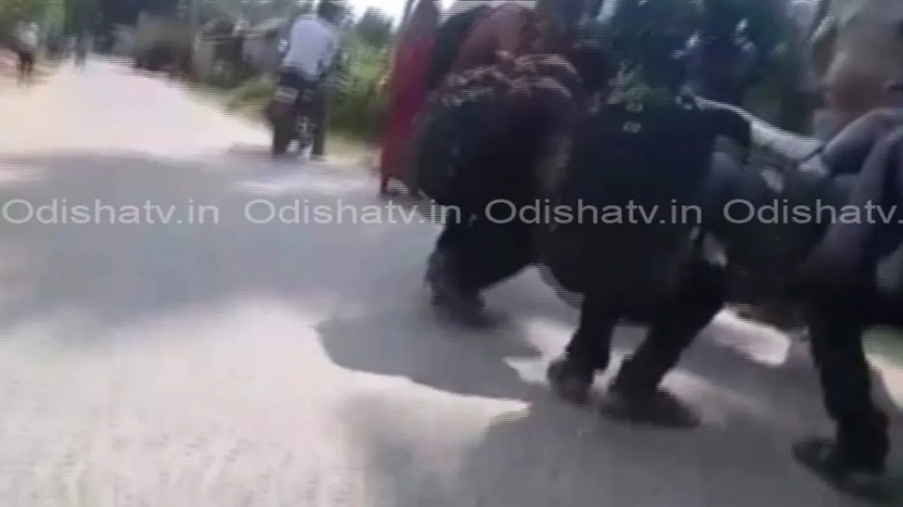 Students punished for name-calling cop as 'Mamu'