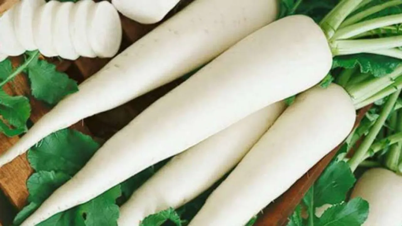 Eating radish may prevent heart disease, stroke: Study