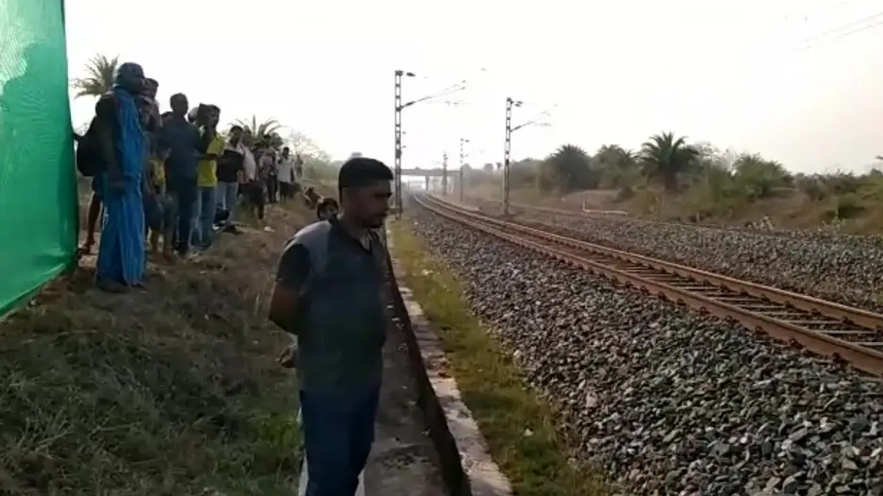 Jumbo dies after being hit by train in Angul