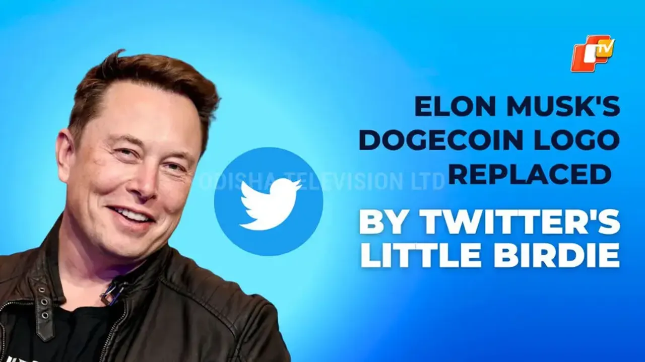 Elon Musk's Dogecoin logo replaced by Twitter's Little Birdie