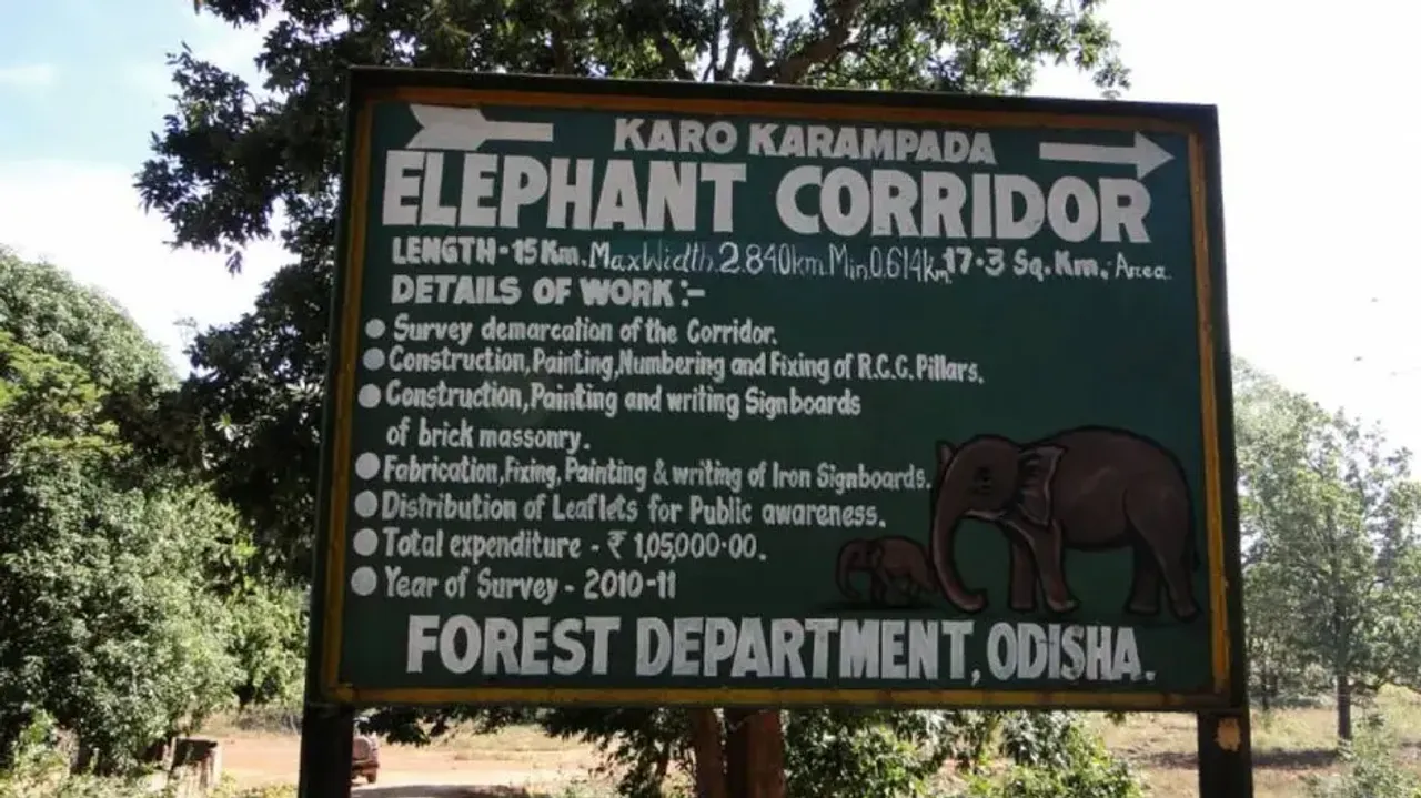 Elephant Corridor