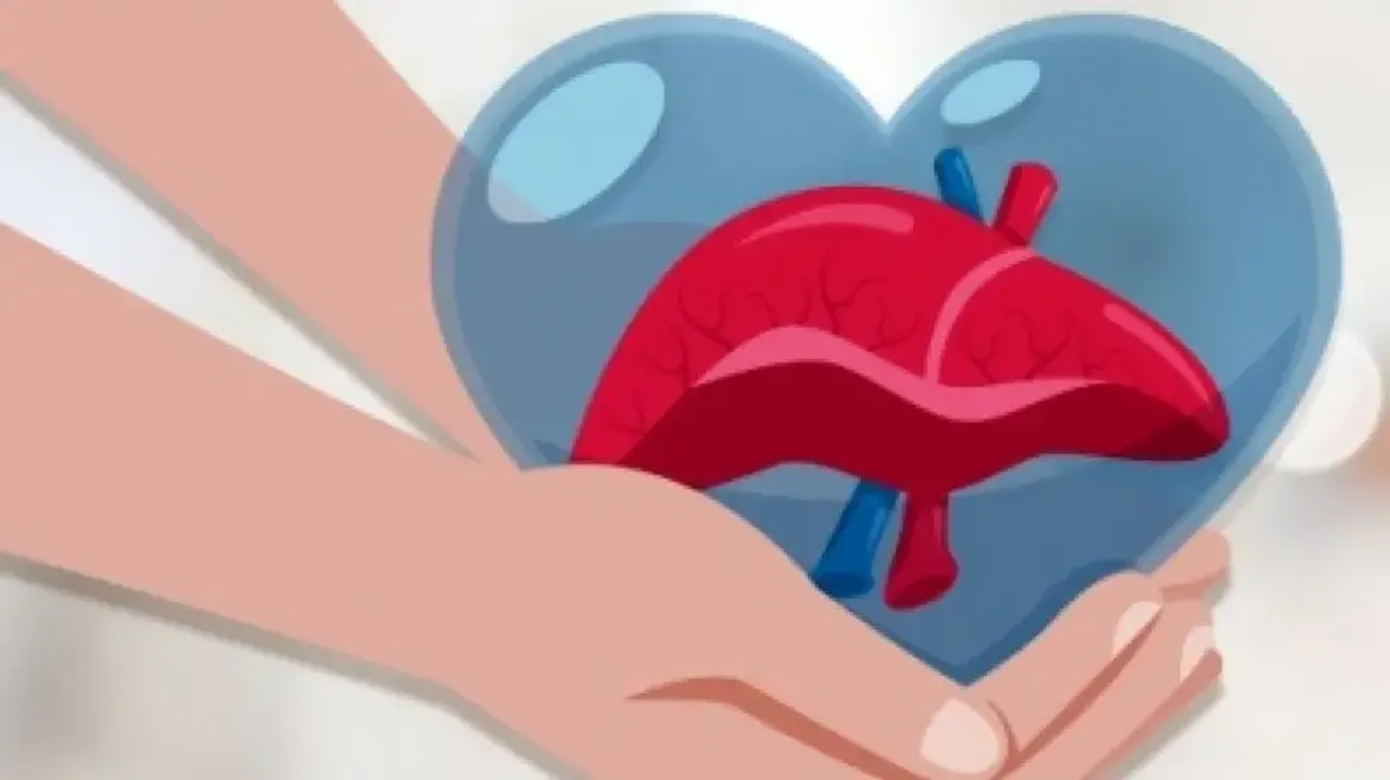 World liver Day 