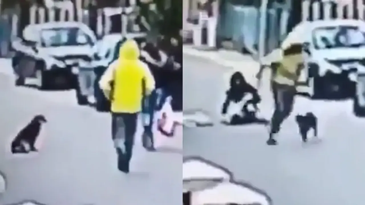 Street dog turns hero, saves woman from getting robbed; watch