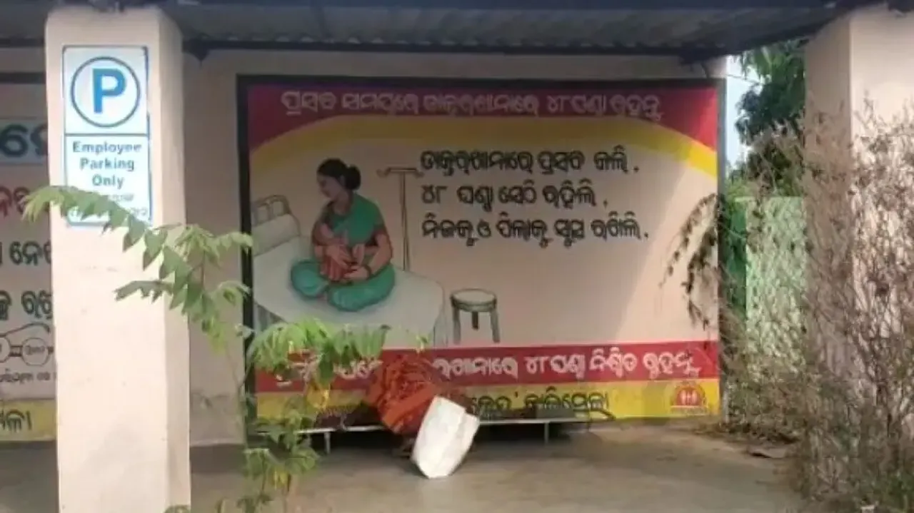 2 minor boys electrocuted while catching bird atop tree in Odisha's Malkangiri