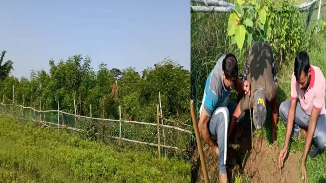 Plantation drive by Bhubaneswari Club