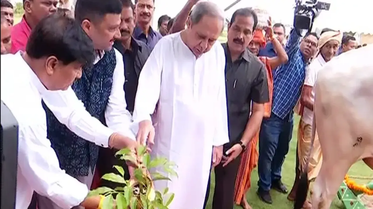 CM Naveen Patnaik 