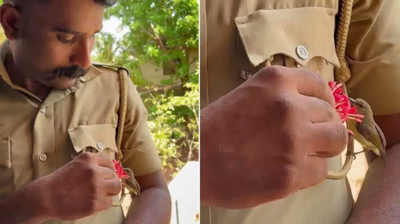 Cop’s sweet interaction with bird goes viral on the Internet
