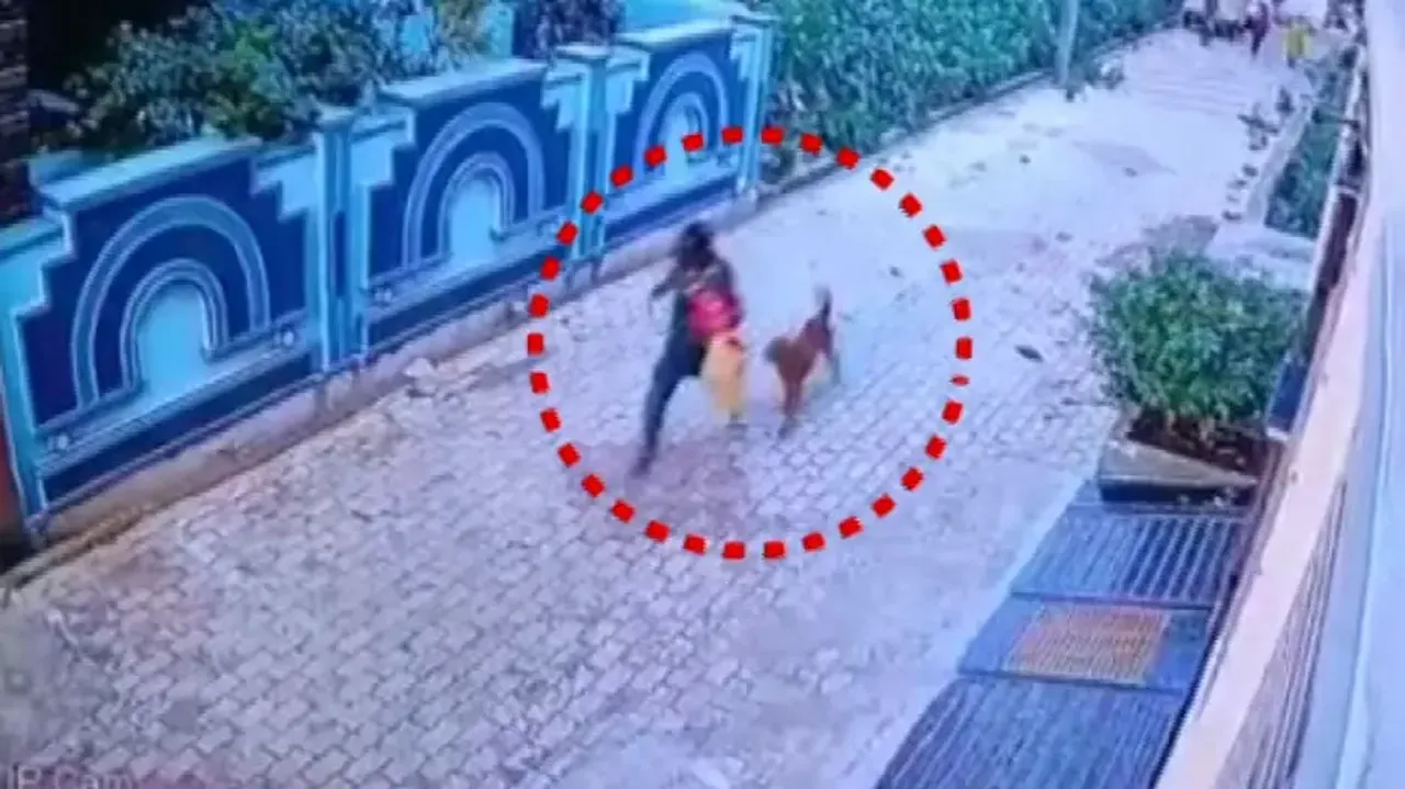 Gold Ornaments Theft