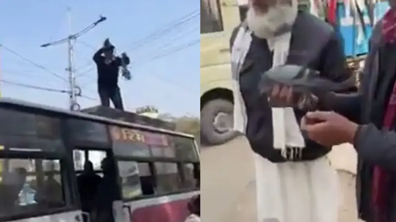 Traffic cop rescues pigeon hanging from electric wire, wins hearts; watch
