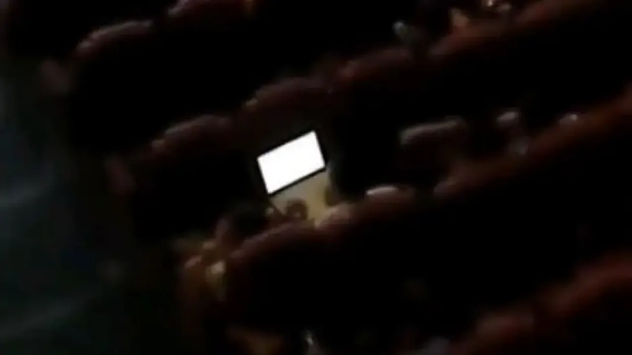 Bengaluru techie spotted working on laptop inside movie theatre, video goes viral