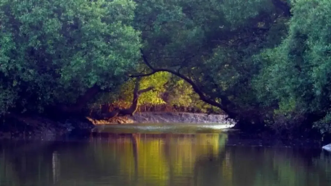 Water Bodies drying up