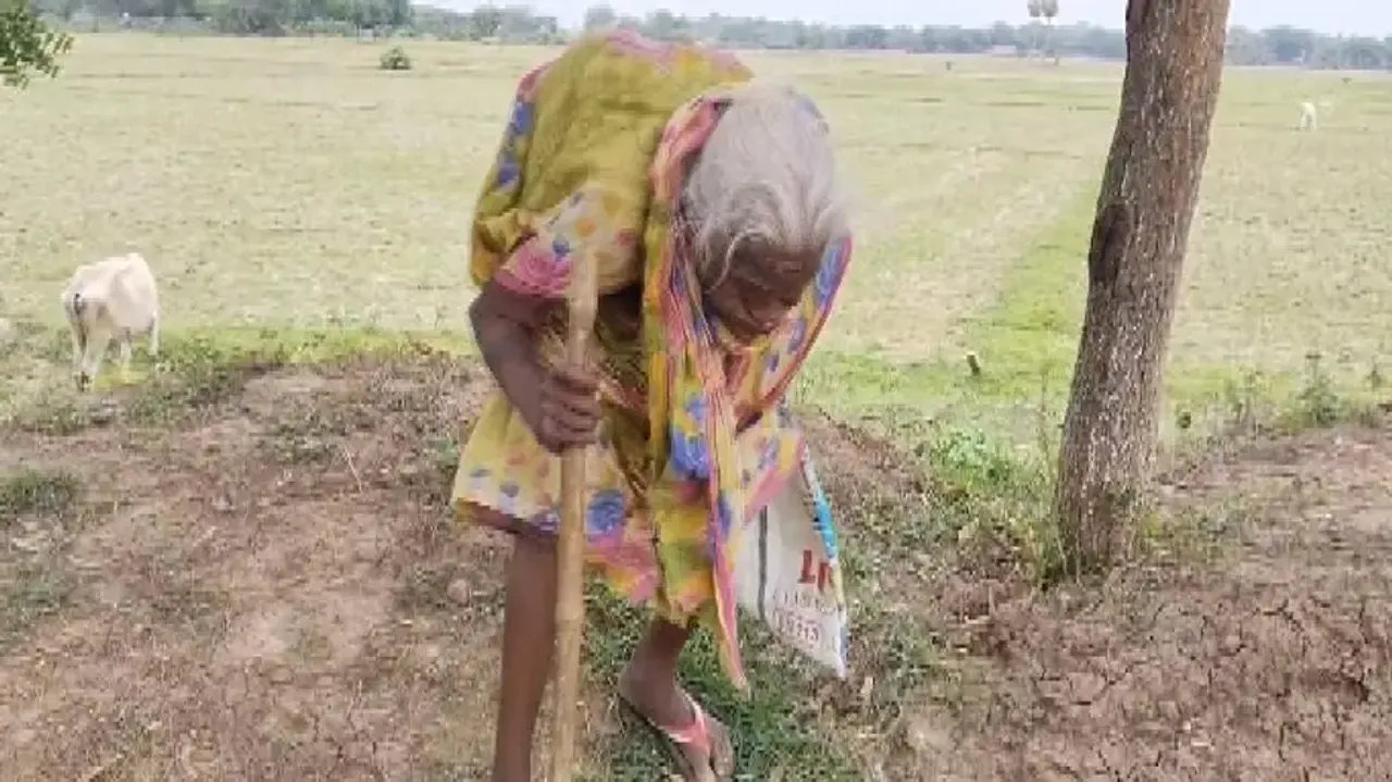 No end to plight as elderly beneficiaries forced to walk kilometers to collect pension in Odisha
