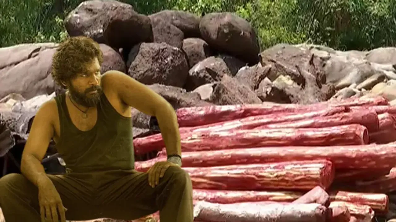 Pushpa 2: The Rule shooting to begin soon in Odisha! Shooting plans in Malkangiri disclosed