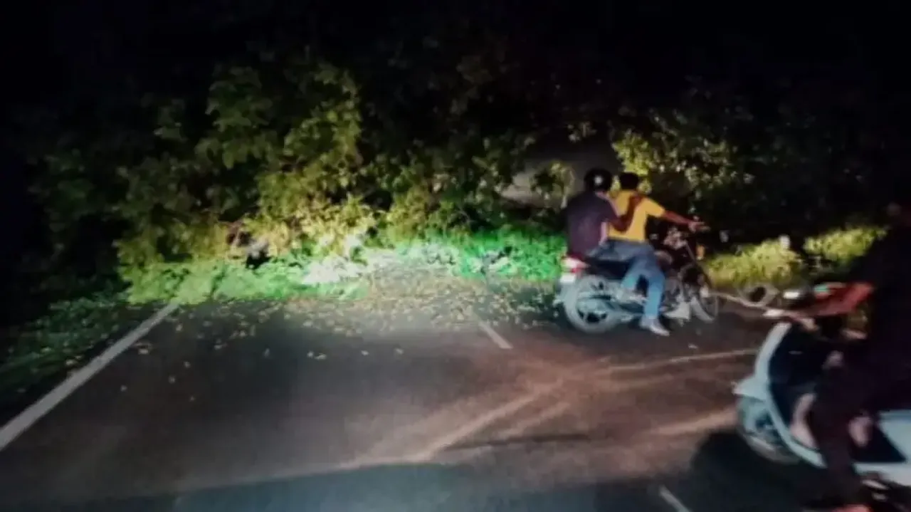 Pushpa-style timber smuggling bid foiled in Odisha