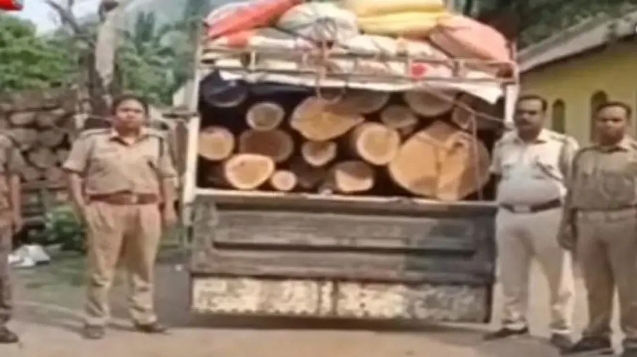 Timber-laden vehicle seized in Balasore