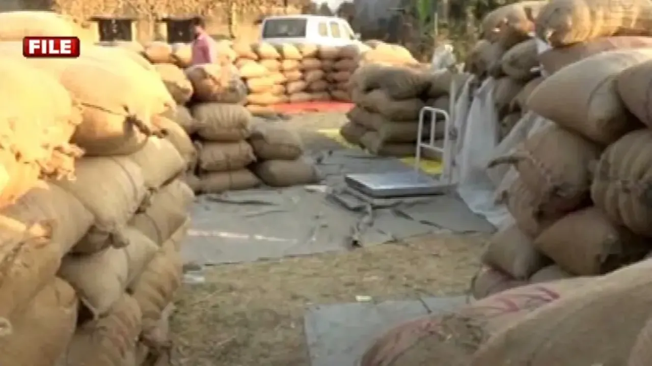 Paddy procurement in Odisha