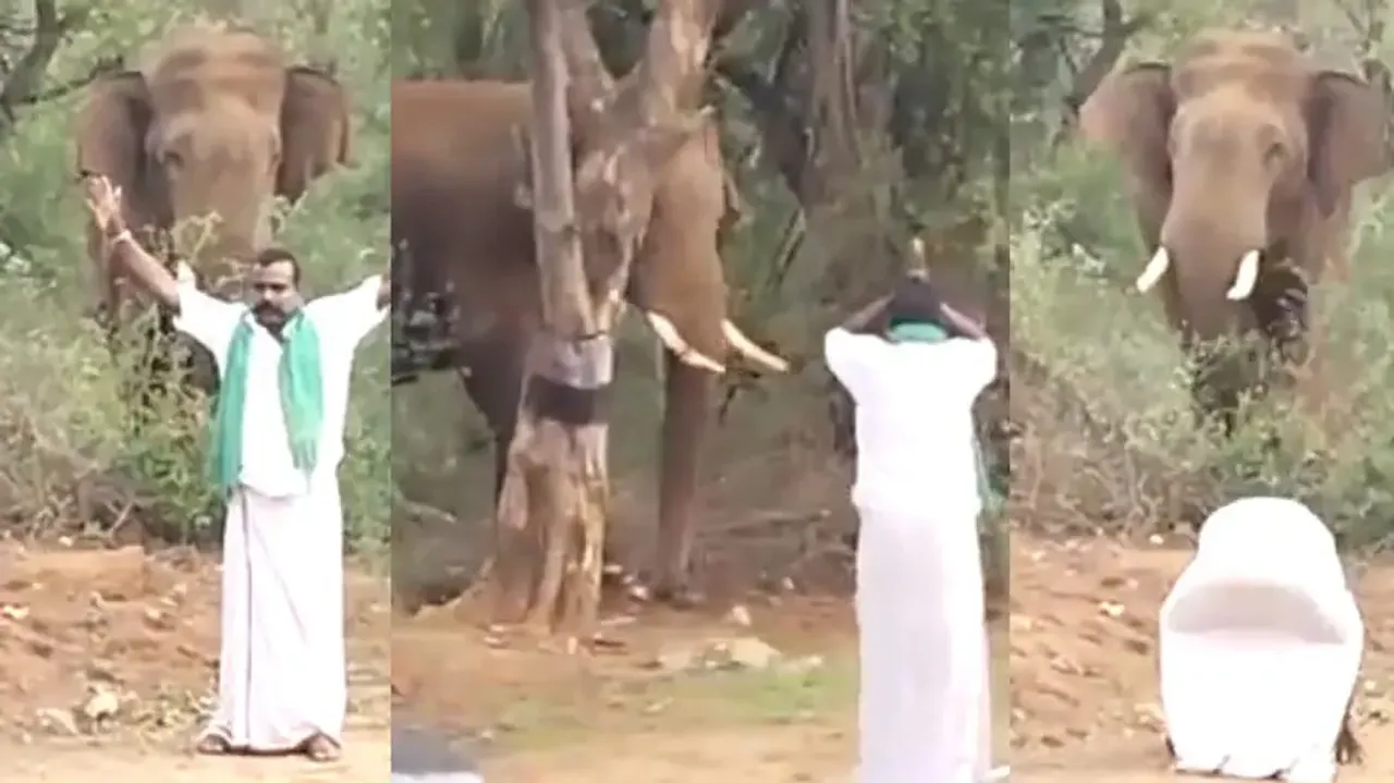 Annoyed wild Tusker tries to scare man paying obeisance; latter arrested; watch